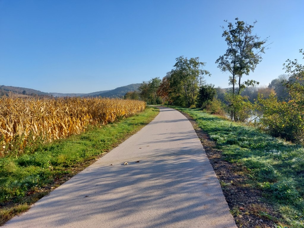 Entre Villevallier et Saint-Aubin-sur-Yonne