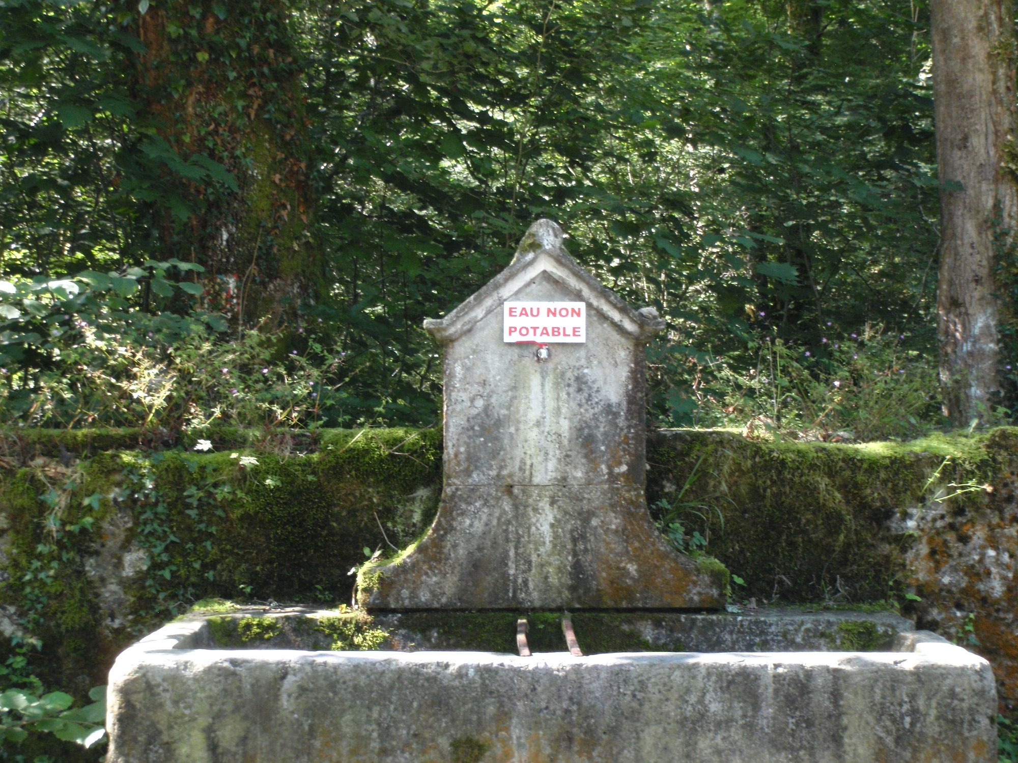 Bois de Lourdes- eau ?