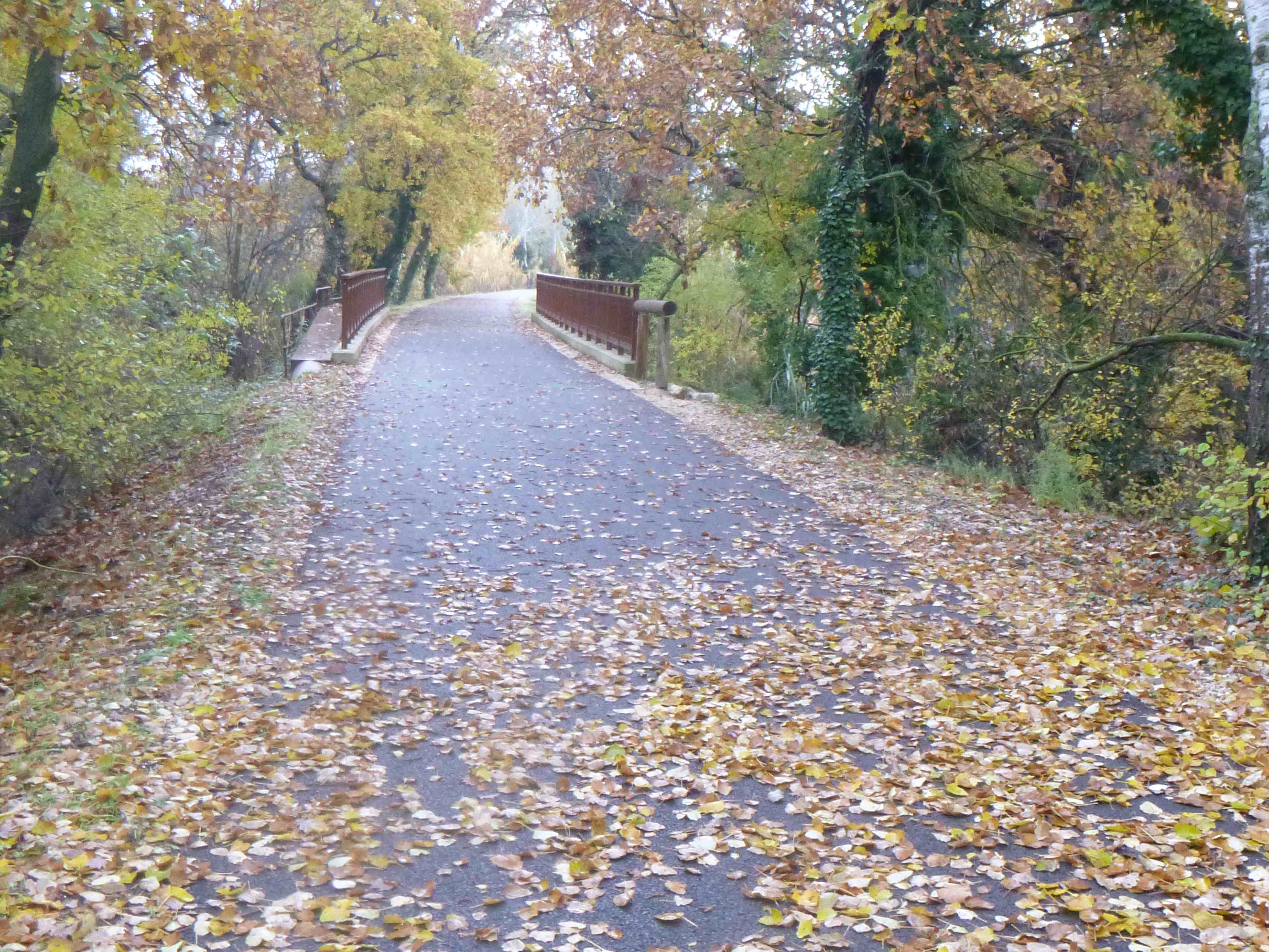 Parcours boisé 