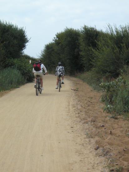 Alentours de Givrand