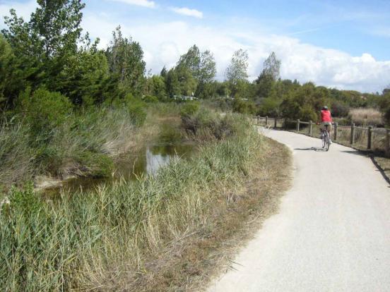 Marais des Olonnes