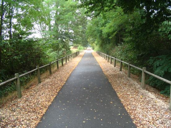 Un goudron au pin en test sur une piste cyclable à Décines et Meyzieu