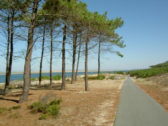 le Banc d'Arguin