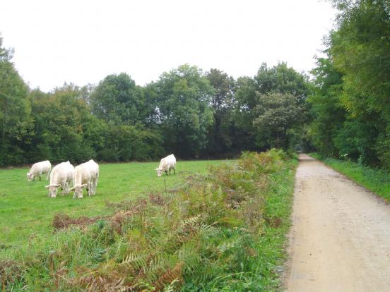 Vallée du Squiriou