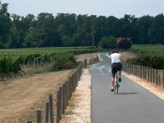 Vignobles vers Sauveterre