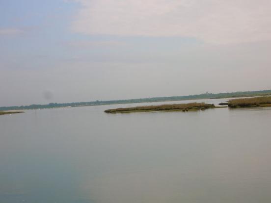 Delta de la Leyre