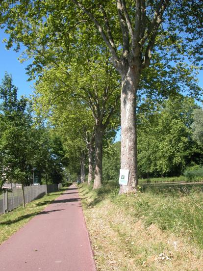 Piste du canal à Illkirch