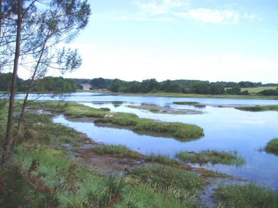 Marée basse