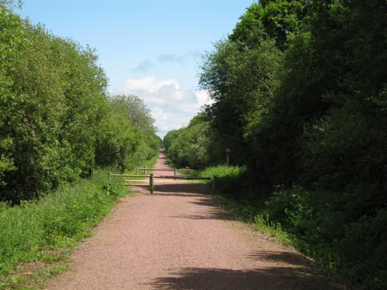 la belle ligne droite