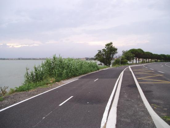 Piste De Course Automobile. Tourner La Route Goudronnée Avec Des