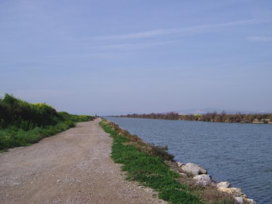 Canal du Rhône à Sète