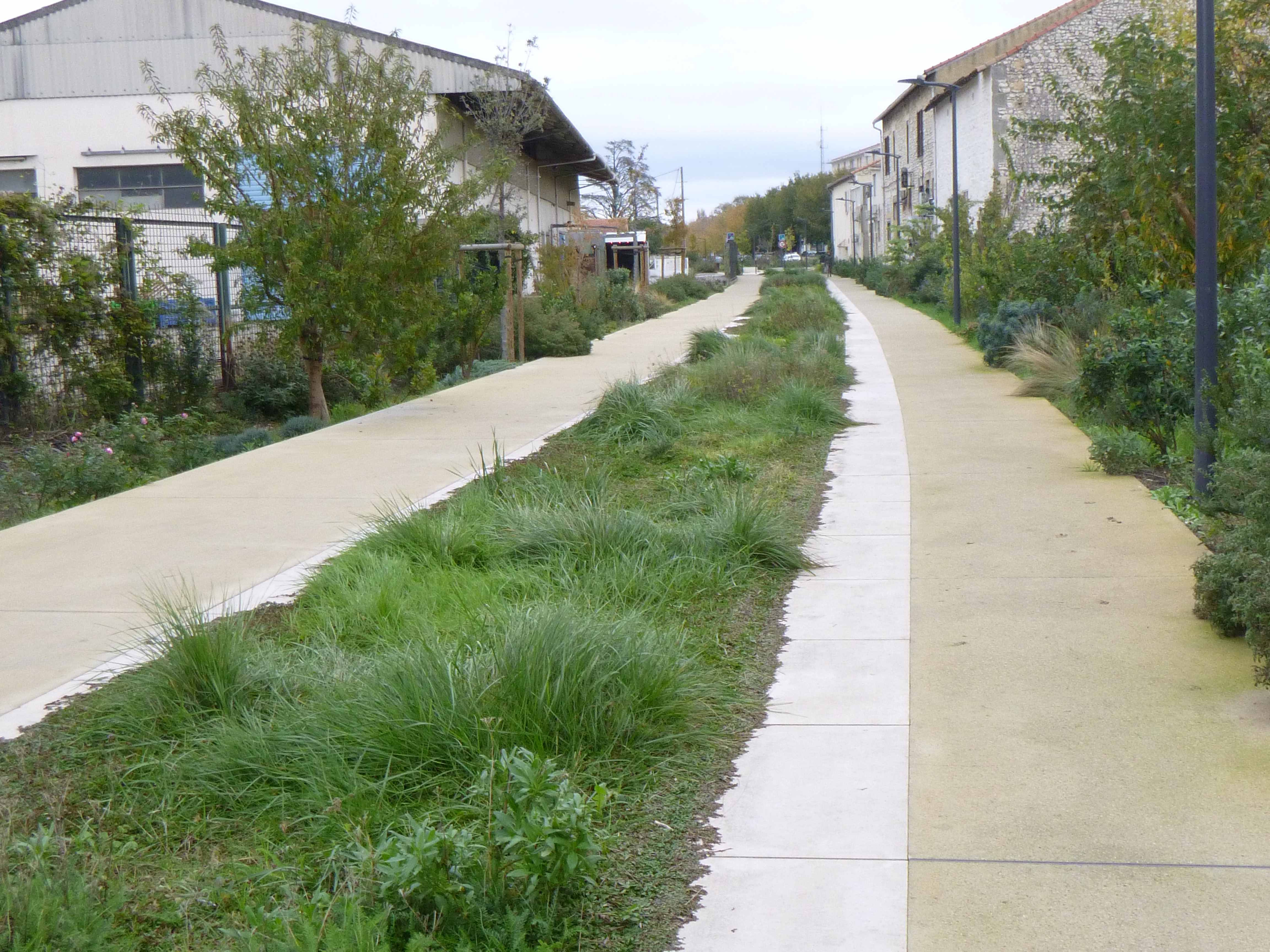 Voie ferrée végétalisée à Châteaurenard