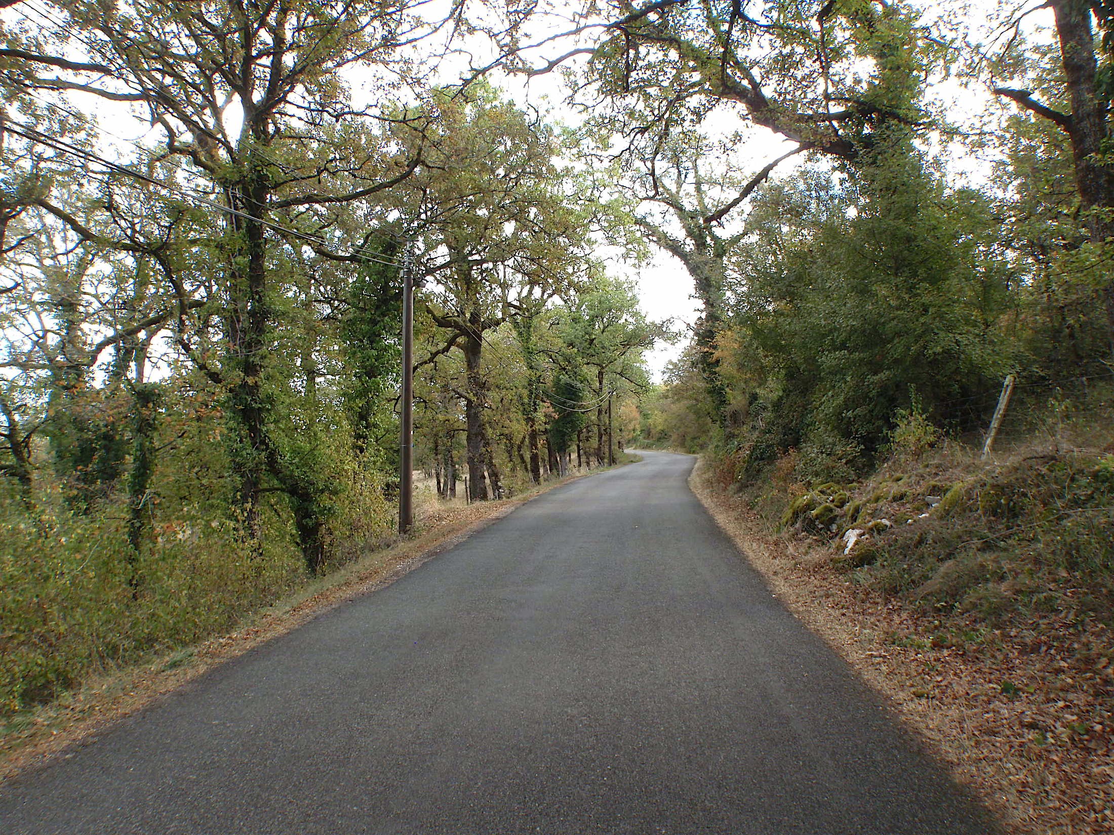 Montée tranquille