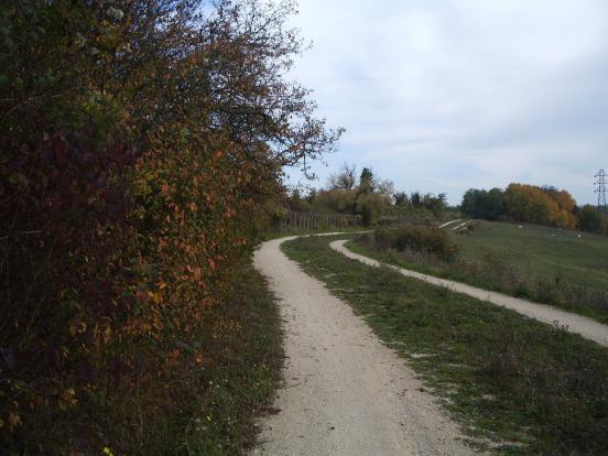 prairie à Courtry