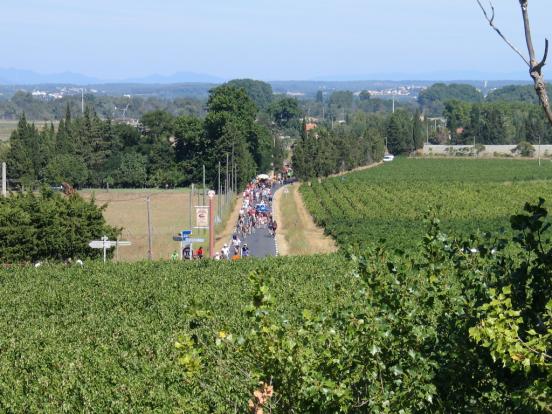 Jour de fête votive