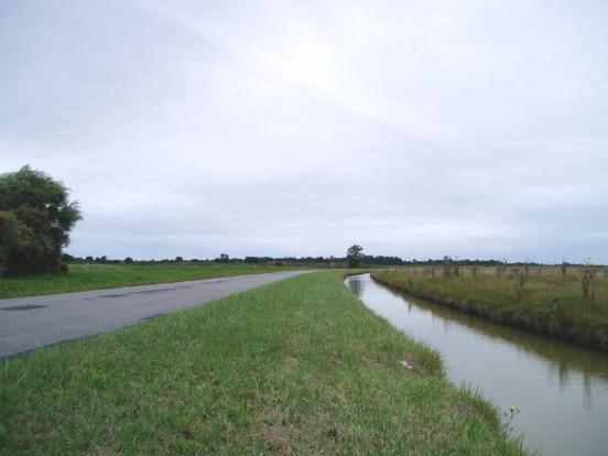 Marais