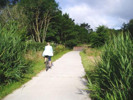 Bois et dunes