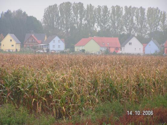 Les maisons colorées