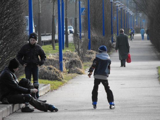 Les patineurs