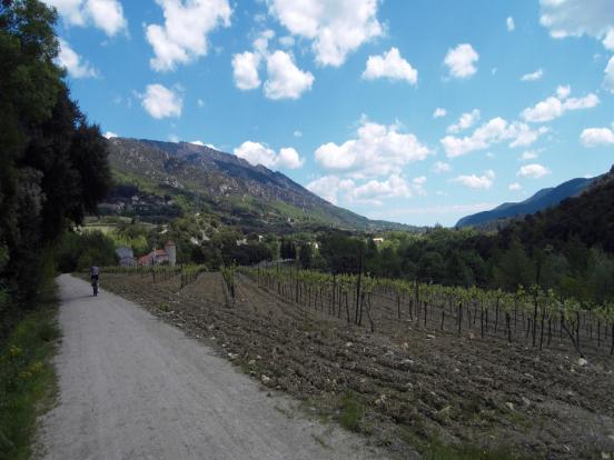 Piste, vigne et montagne