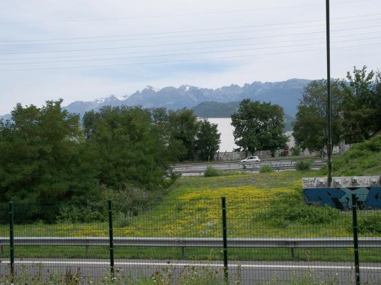 Belledonne