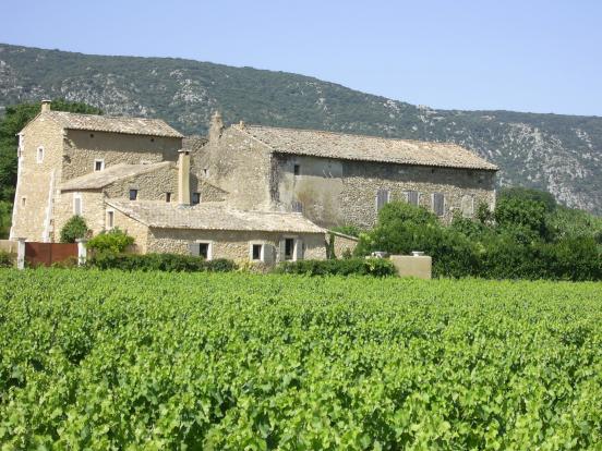 Ferme viticole à Maubec