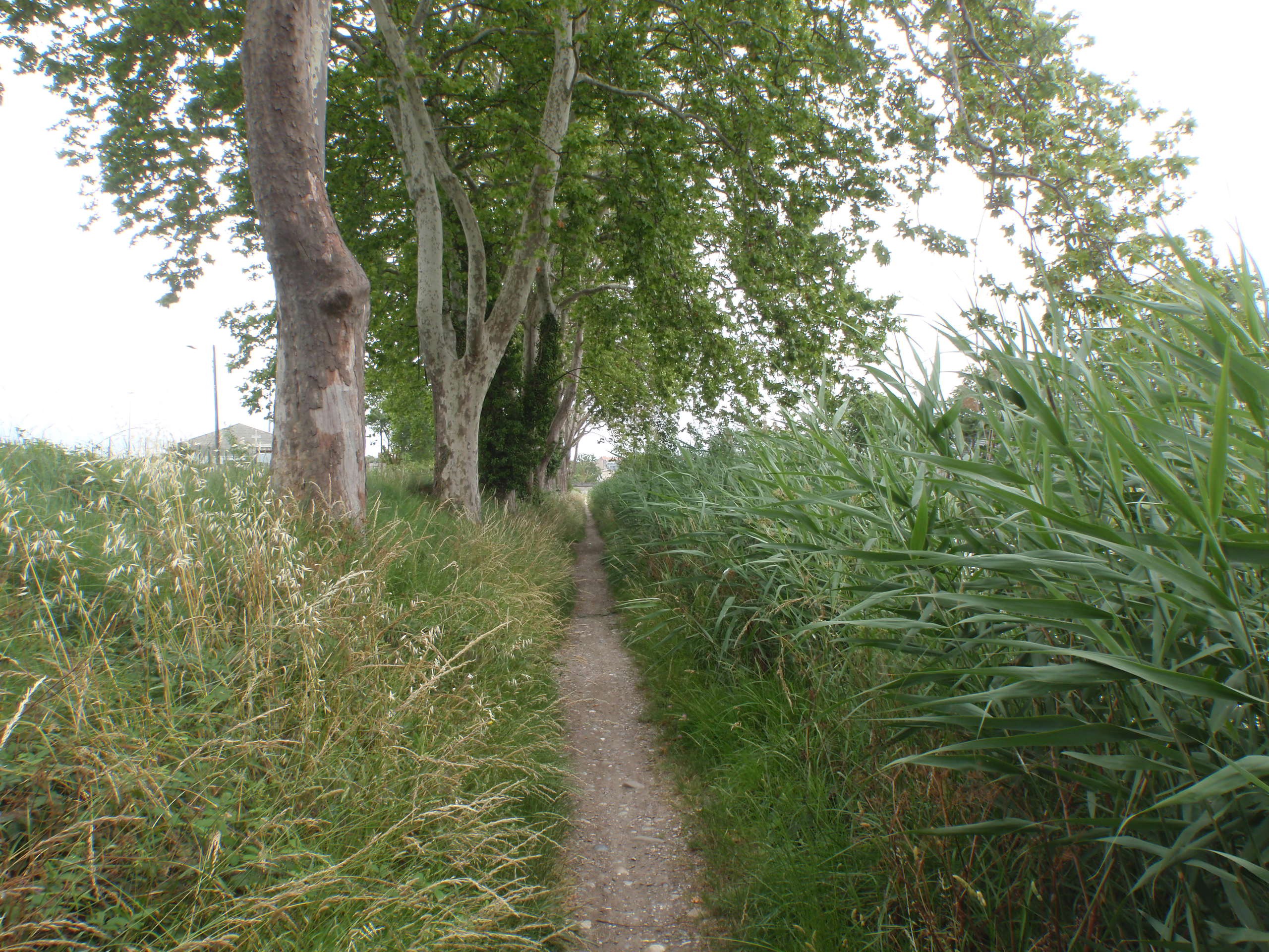 Arrivée Carcassonne