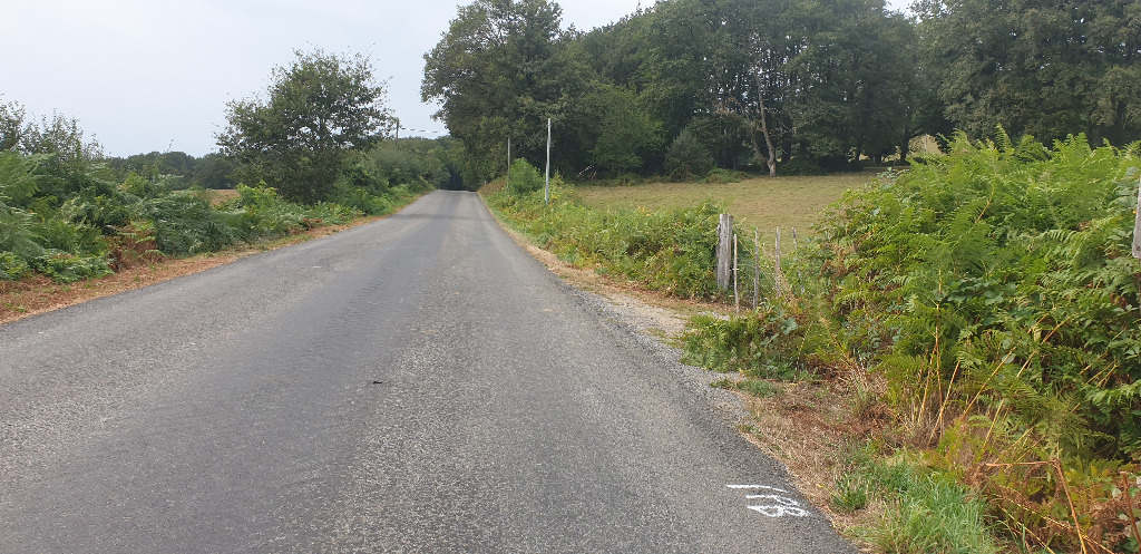 Entre Bujaleuf et Eymoutiers