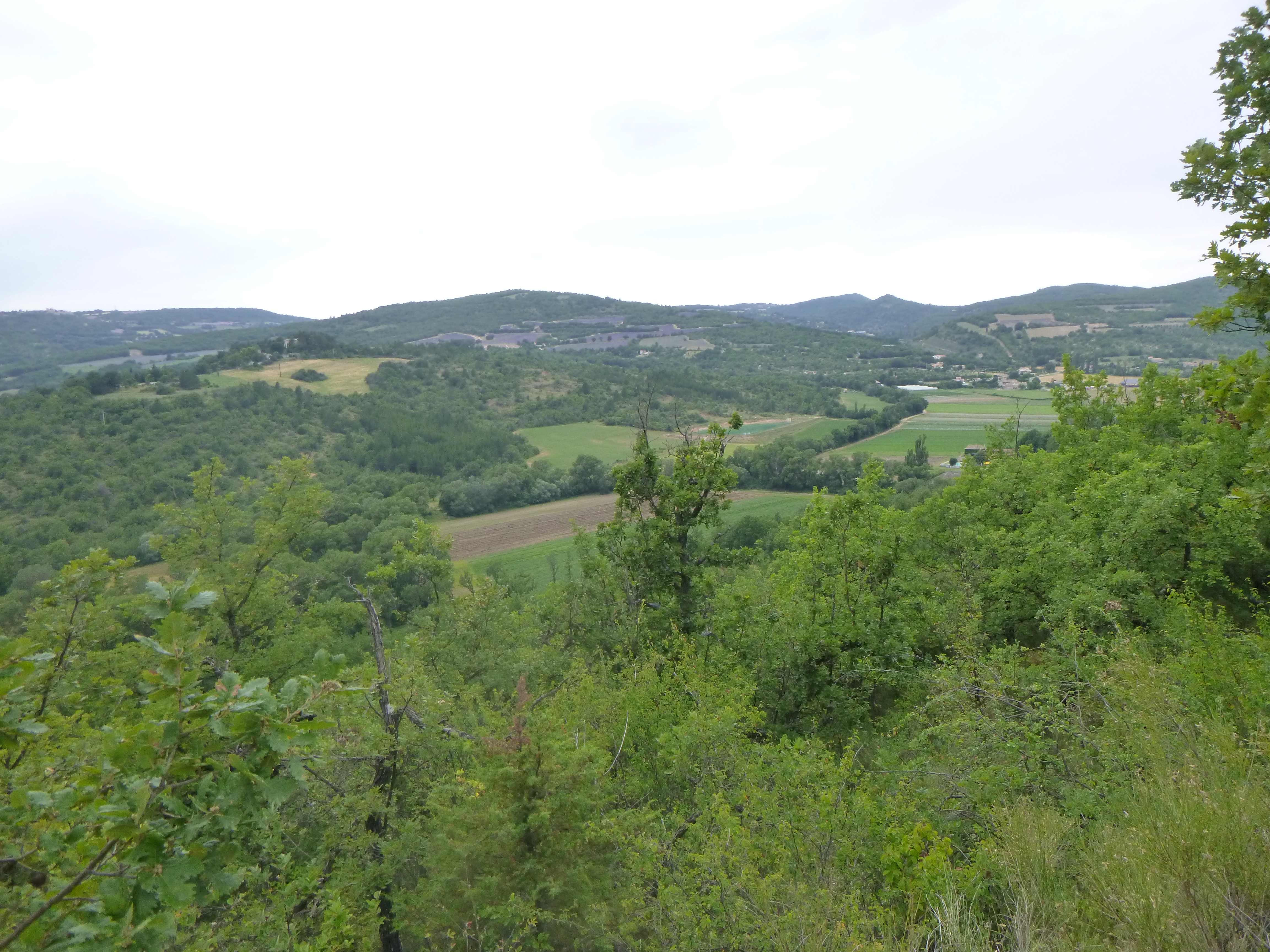 Vue sur le Luberon depuis la D5