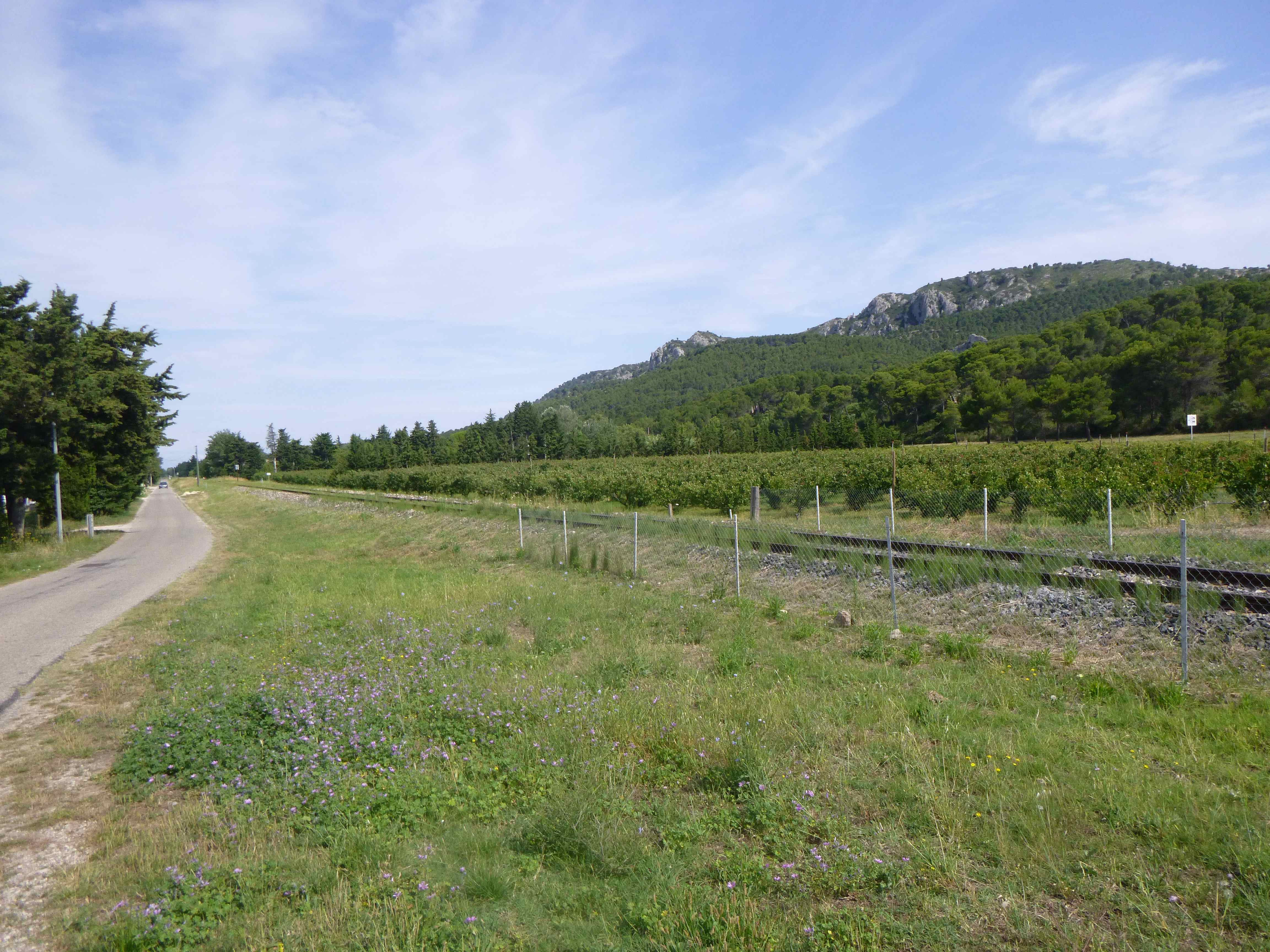 En bord de voie ferrée 