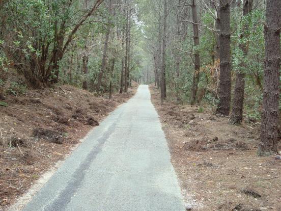 Lacanau lac à Maubuisson