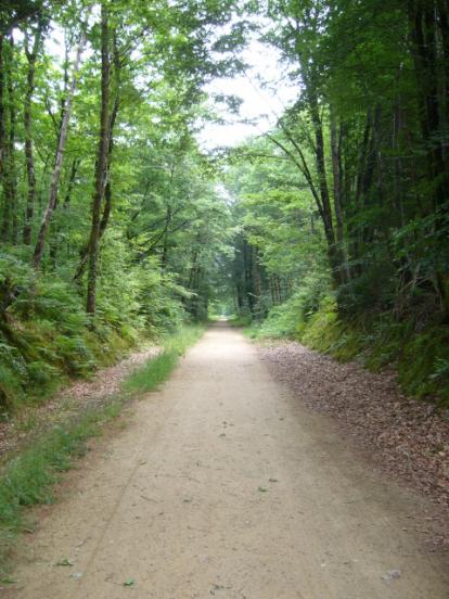Plouguernevel