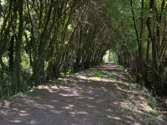 TUNNEL BOISÉ