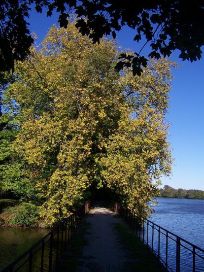 passerelle