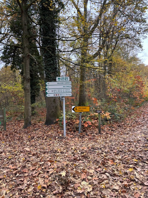 Jalonnement en forêt