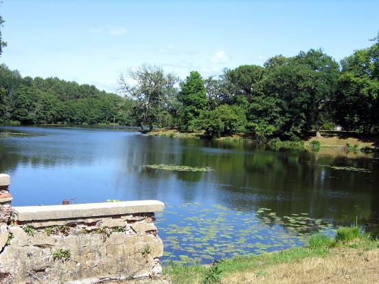 Lac des Forges à Pontenx