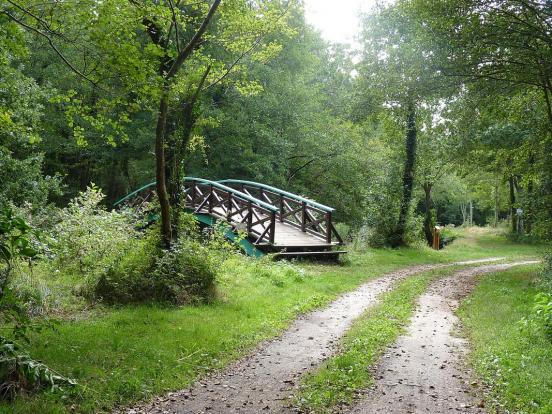 passerelle sur le courant