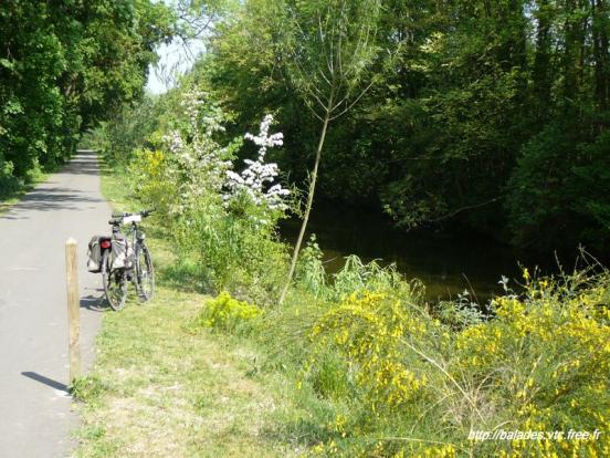 Berges fleuries