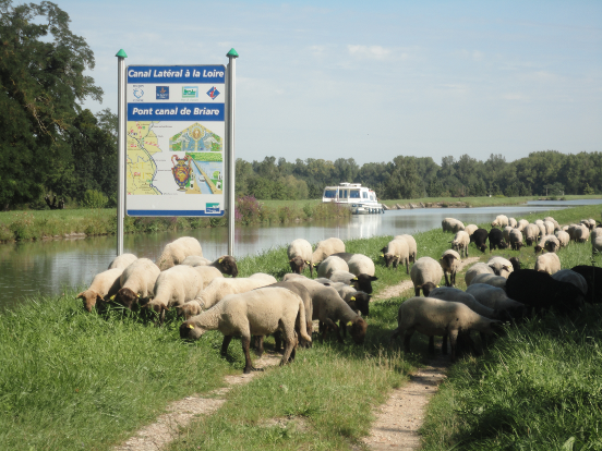 canal de briare