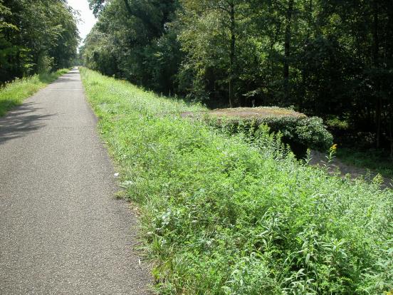 Forêt de la Robertsau