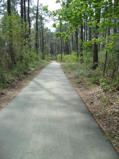 dans les Landes