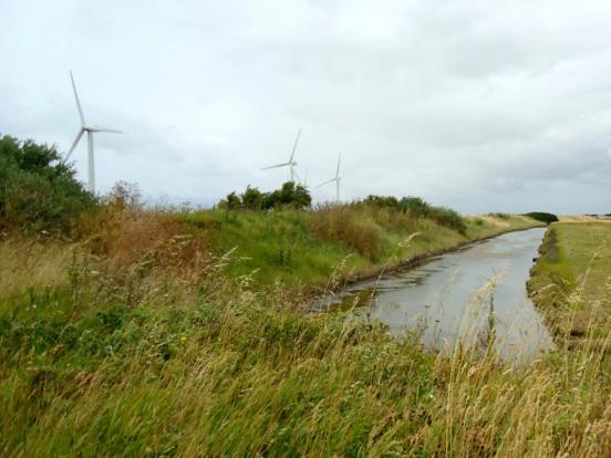 Sentier Marais Breton