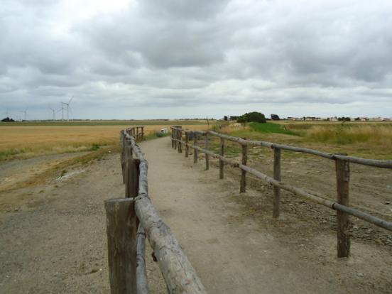 Sentier Marais Breton