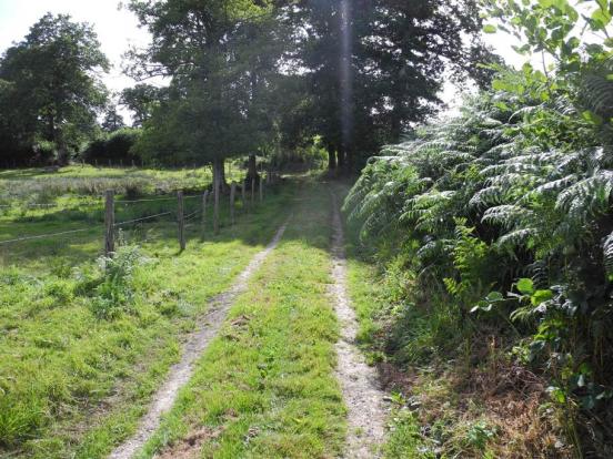 Chemin vers la gare