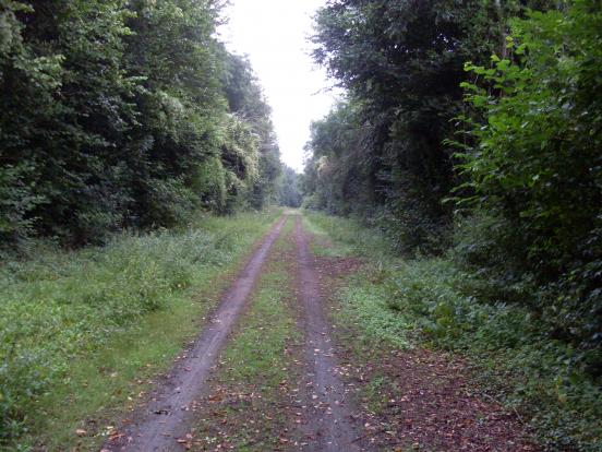 quelques km après Abbevil