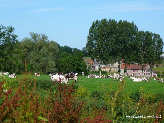 atmosphère bucolique