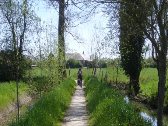 Marais mouillé La Garette