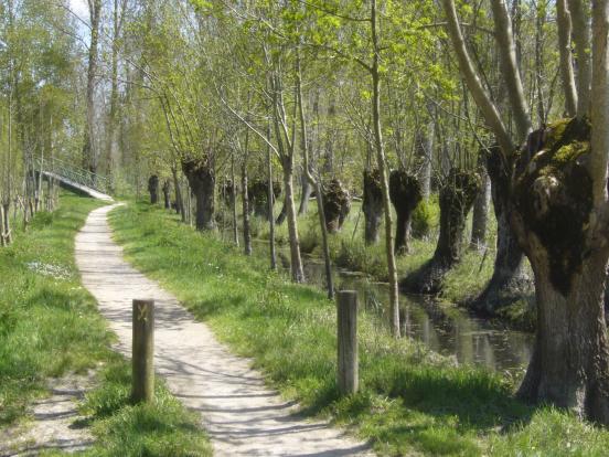 Marais mouillé La Garette