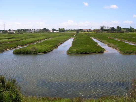 Polder de Sébastopol