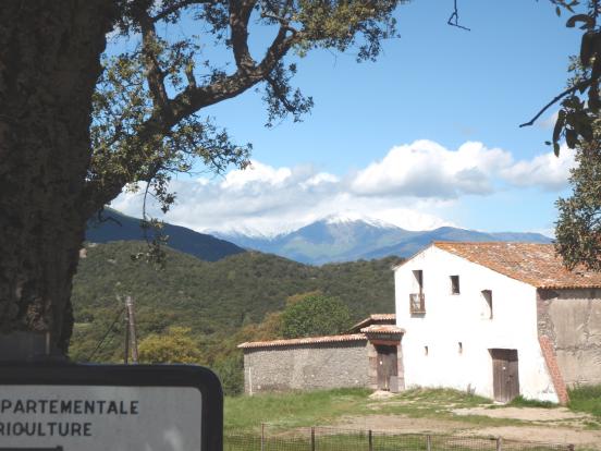 Canigou